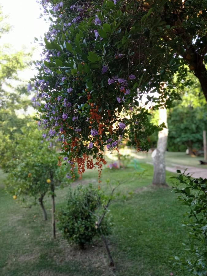 Pilmaiquen Villa Riachuelo Buitenkant foto