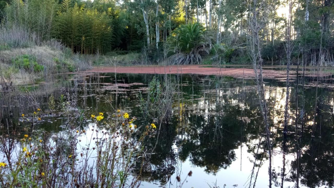 Pilmaiquen Villa Riachuelo Buitenkant foto