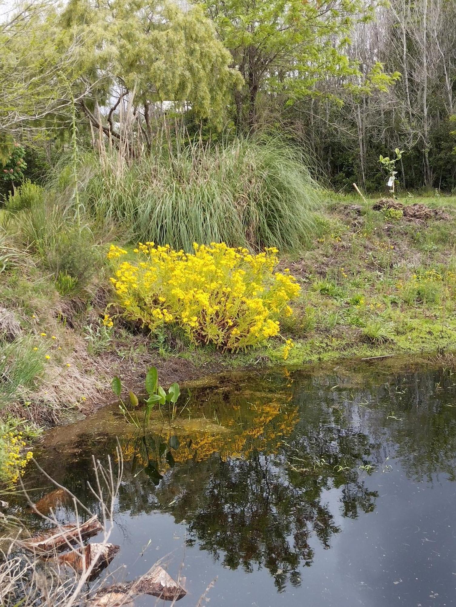 Pilmaiquen Villa Riachuelo Buitenkant foto