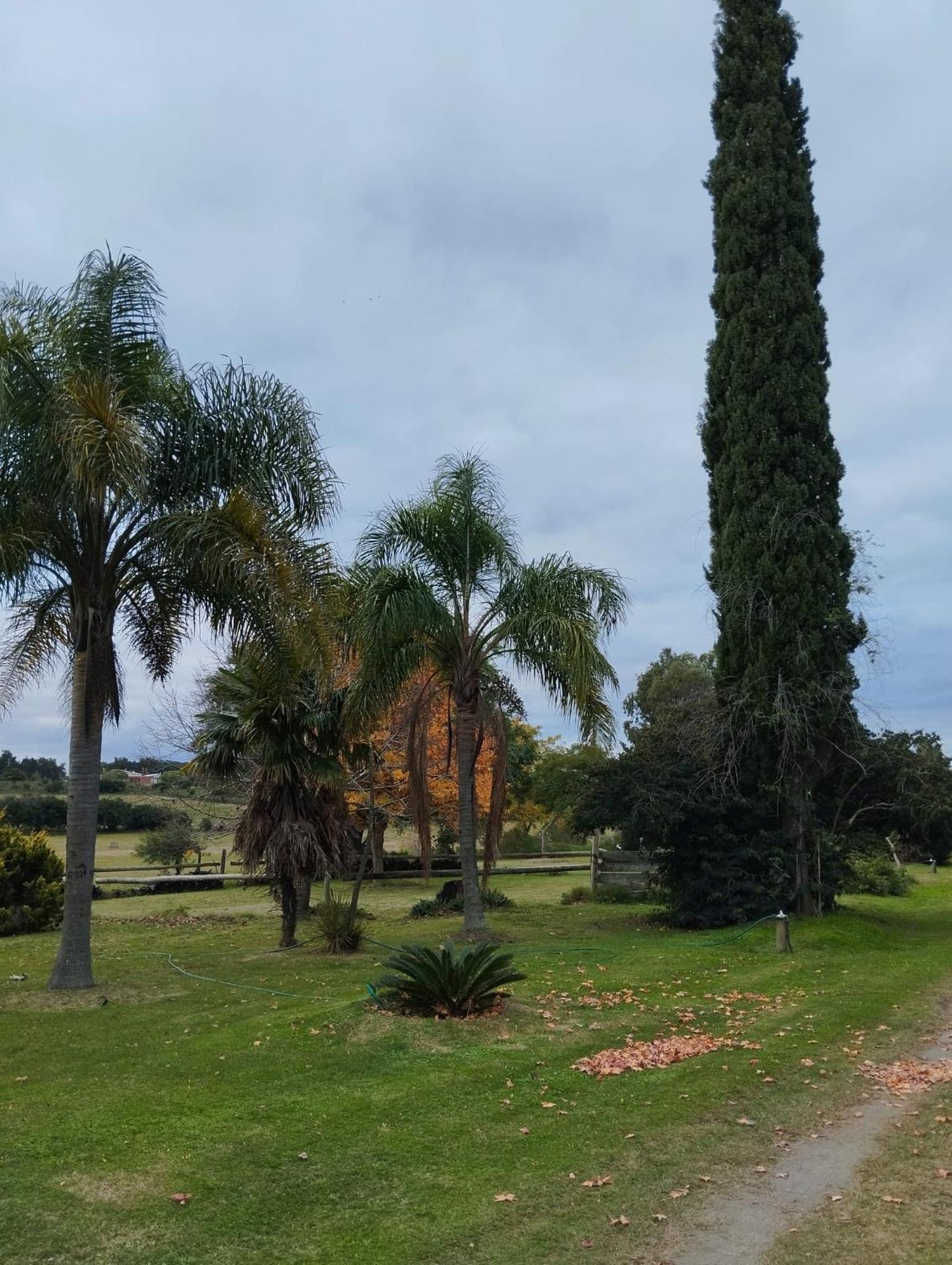 Pilmaiquen Villa Riachuelo Buitenkant foto